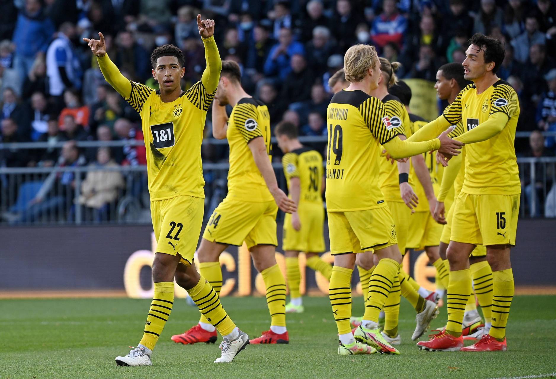 葵花籽榨油设备