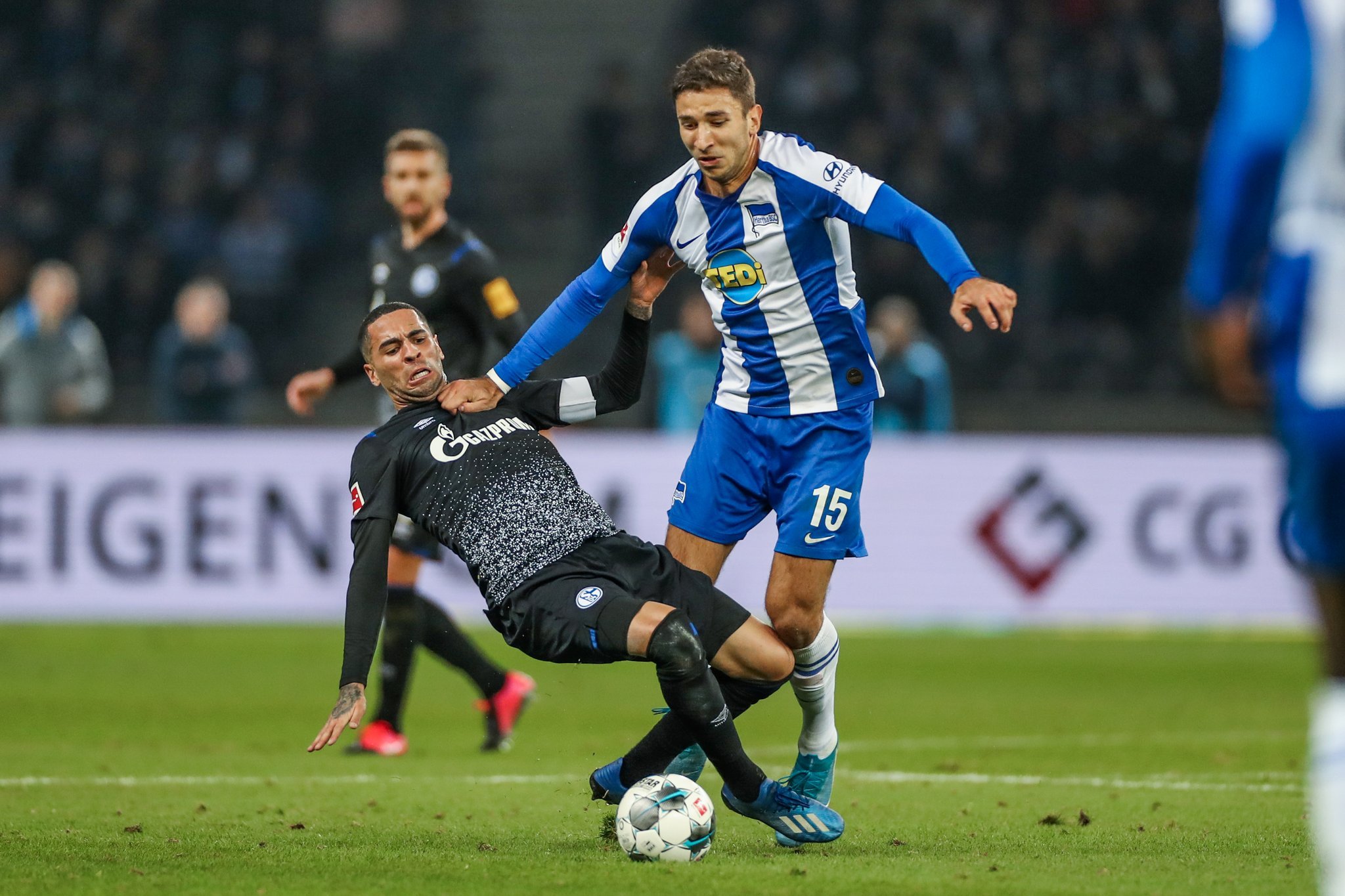 动物油精炼设备